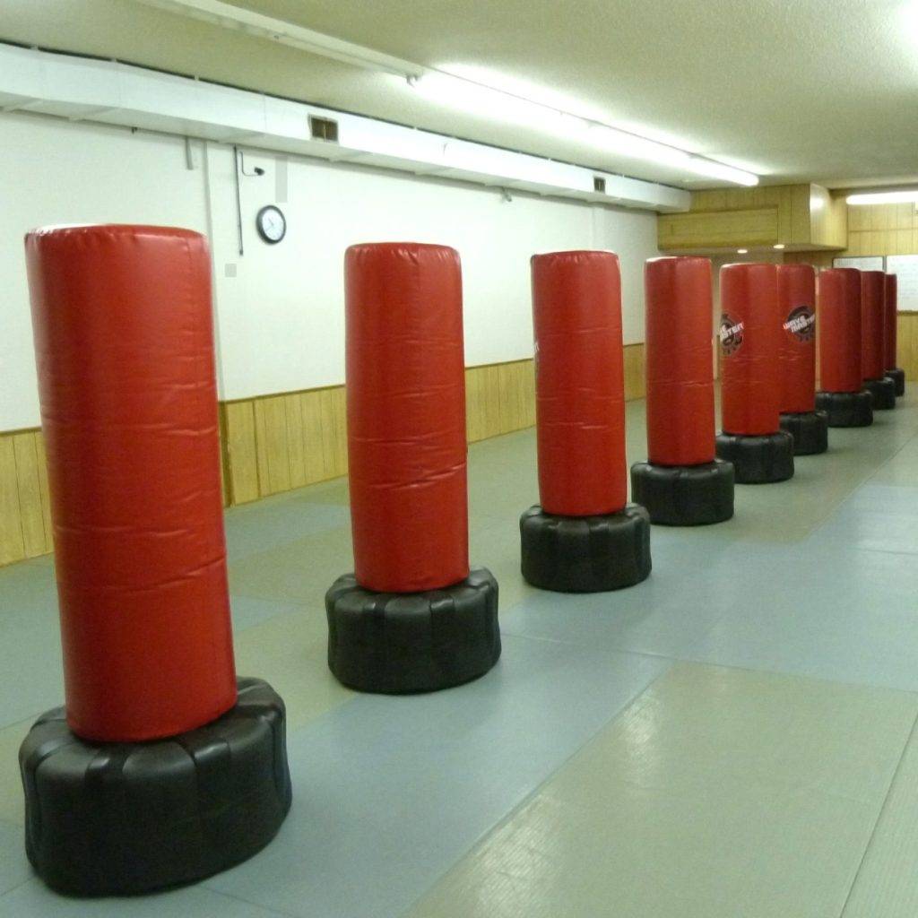 Fitness Kickboxing Bags